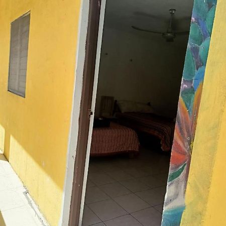 Tucan Playa del Carmen Eksteriør billede