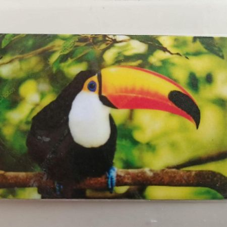 Tucan Playa del Carmen Eksteriør billede