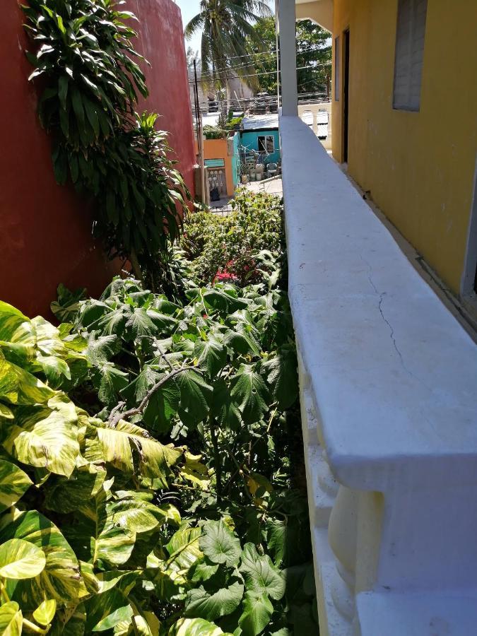 Tucan Playa del Carmen Eksteriør billede