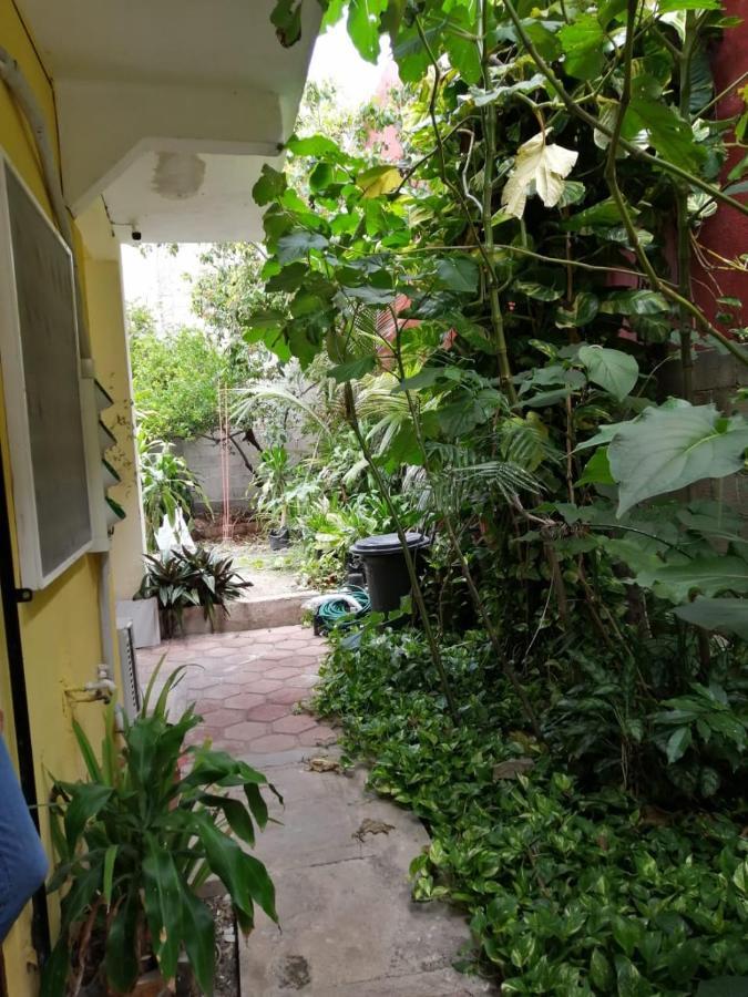 Tucan Playa del Carmen Eksteriør billede
