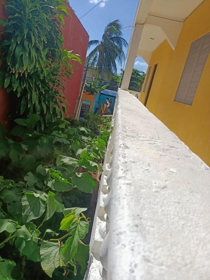 Tucan Playa del Carmen Eksteriør billede